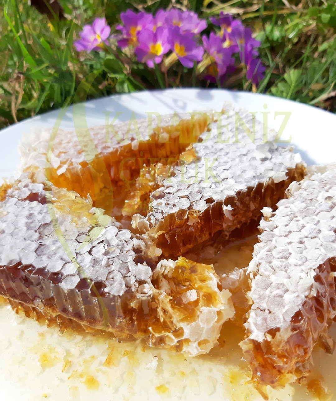 PETEKLİ YAYLA ÇİÇEK BALI 800 Gr