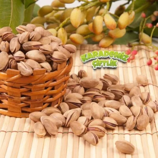 Antep Fıstığı, Yeşil Fıstık, Ana çıtlak, Siirt Fıstığı